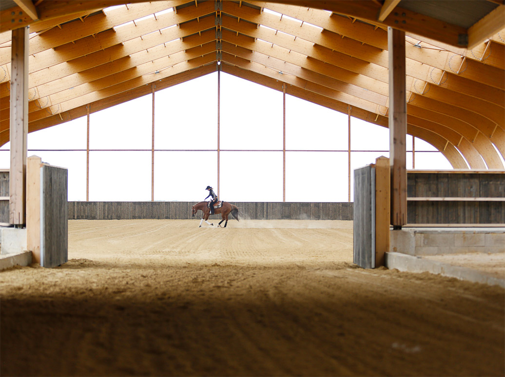batiment equestre lamelle colle