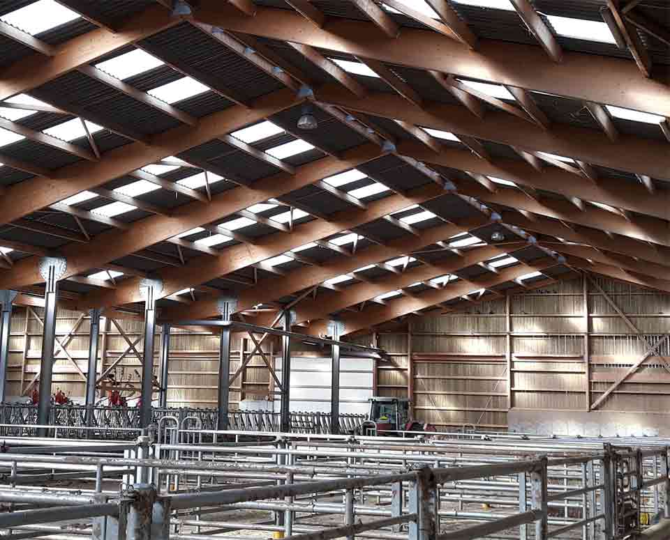 batiment porcin en bois constructeur James