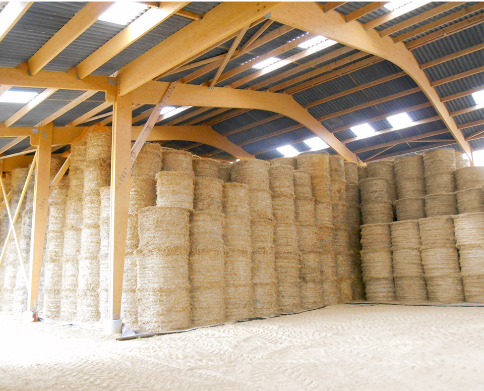 batiment agricole de stockage en bois lamelle colle