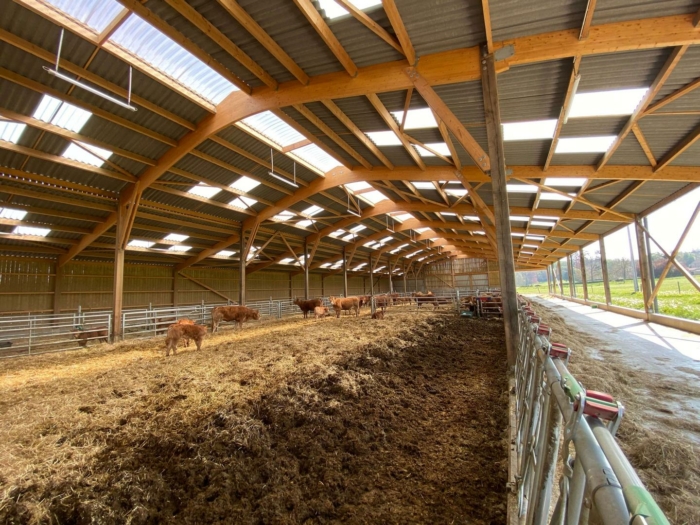 batiment elevage bovin vache bois lamelle colle