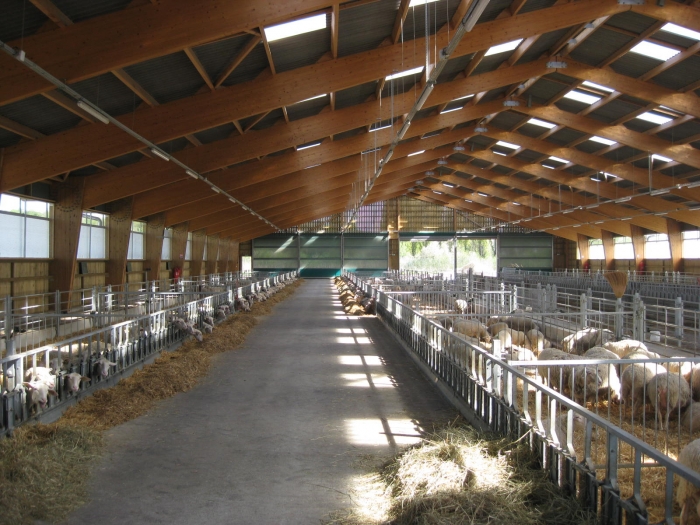 batiment ovin en bois lamelle colle james