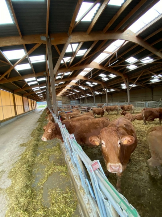 batiment vache laitiere bois lamellé collé