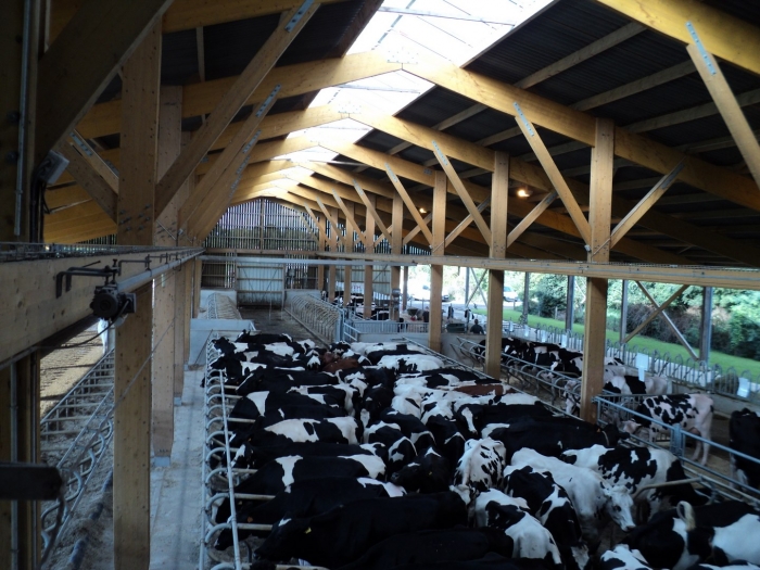 stabulation vache batiment agricole James