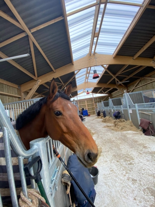 batiment equestre bois lamelle colle