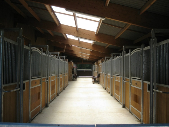 box ecurie cheval James