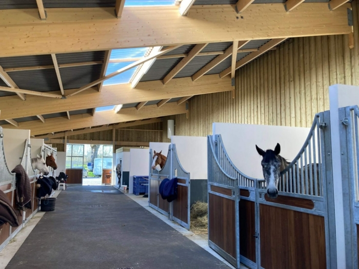 construction equestre
