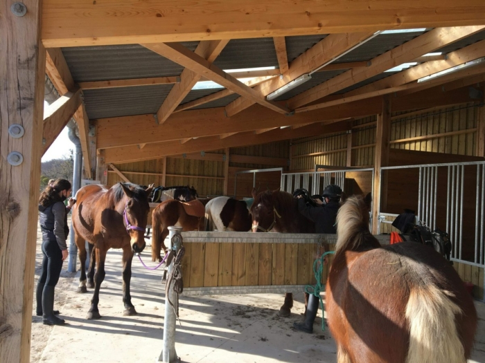 Construction ecurie chevaux James