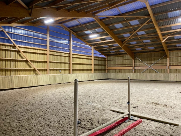 manège chevaux boix