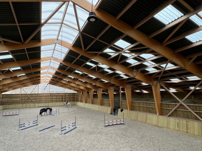 manege equitation