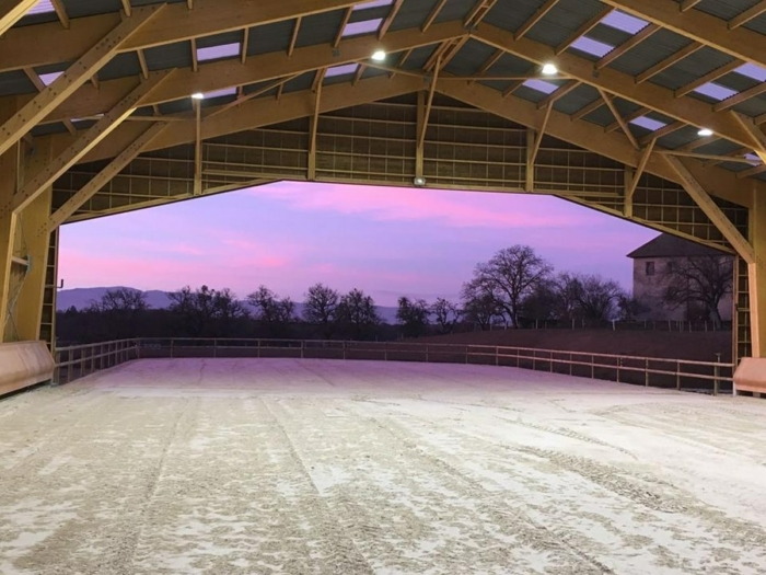 manege semi ouvert carriere cheval James