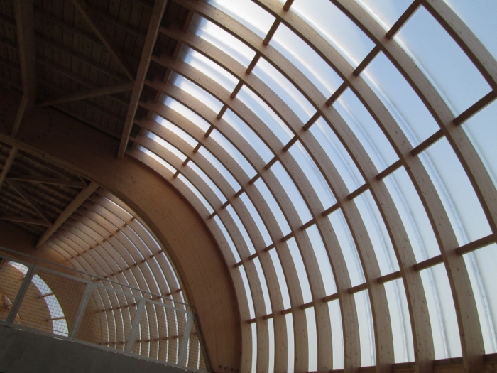 salle sport structure bois lamellé collé